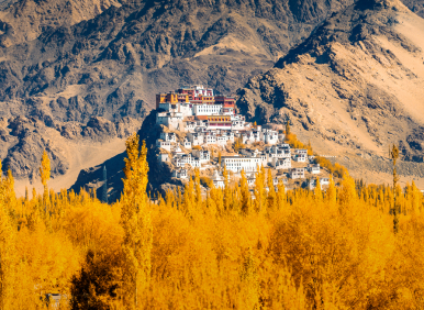 Thiksey Monastery